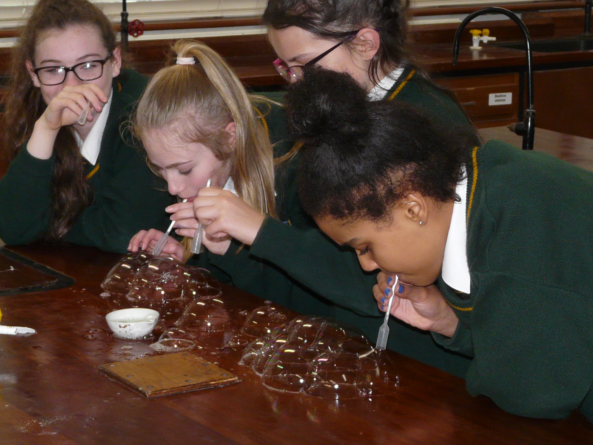 Science – St Clare's Comprehensive School