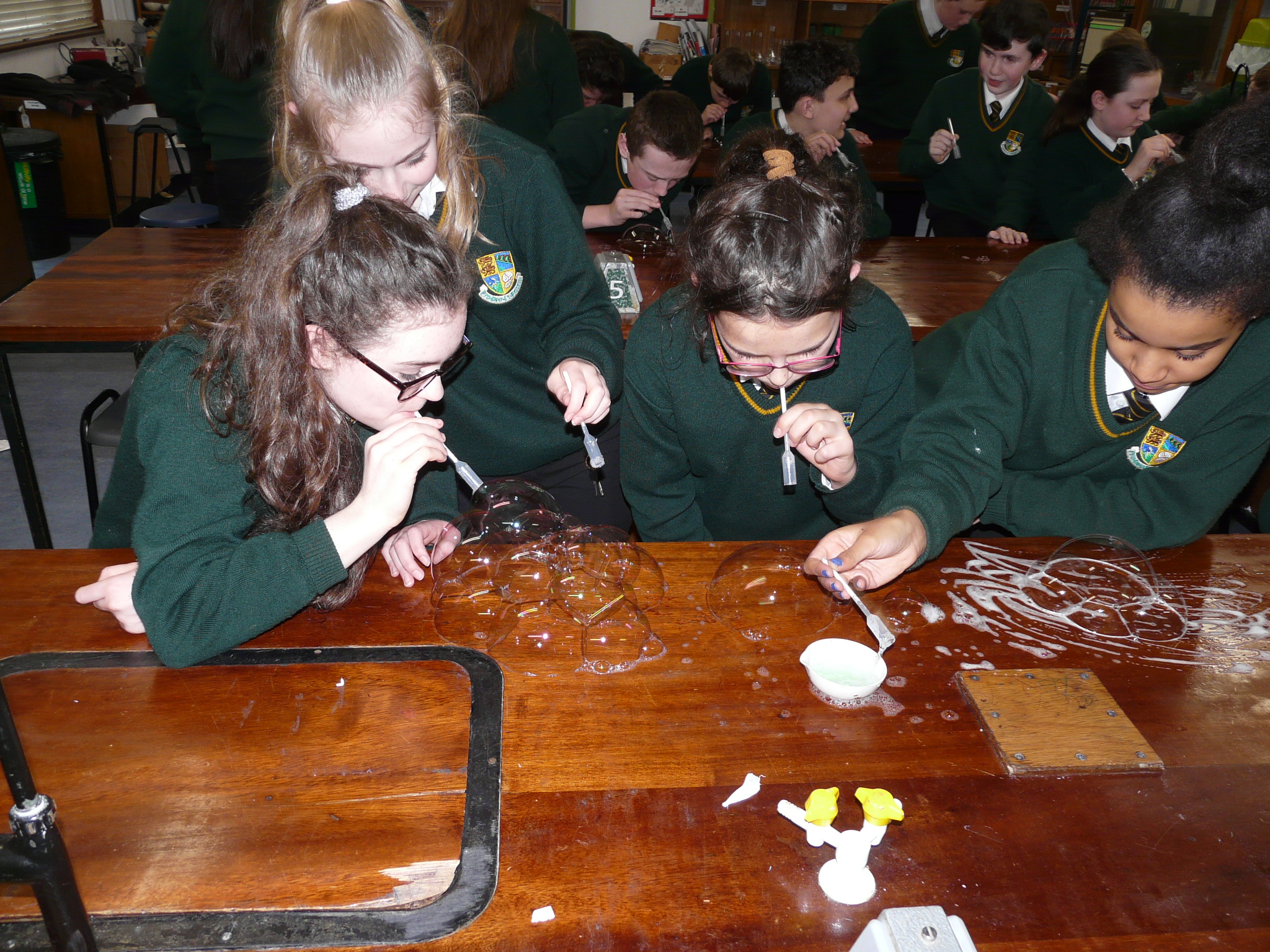 Science – St Clare's Comprehensive School