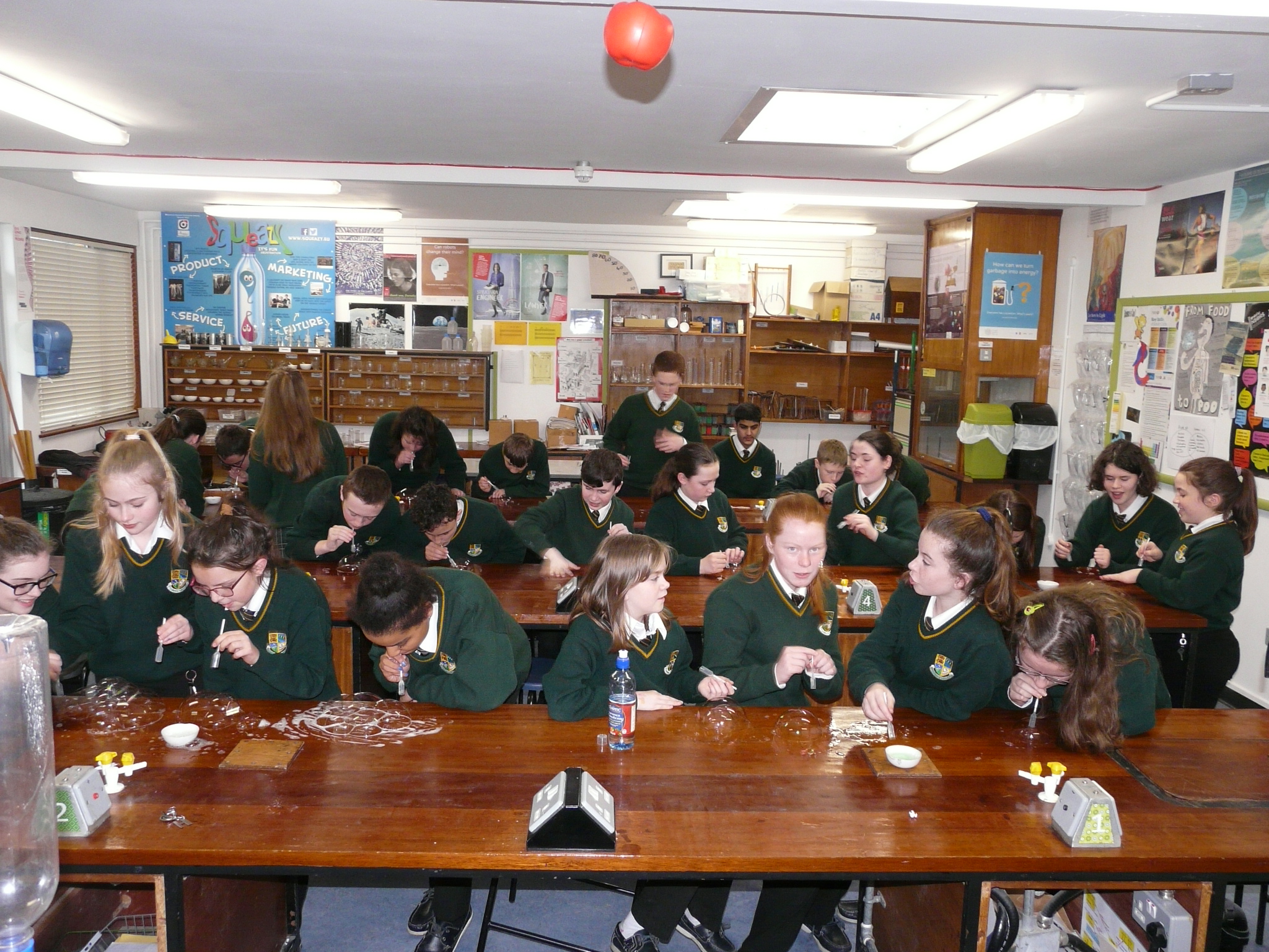 Science – St Clare's Comprehensive School