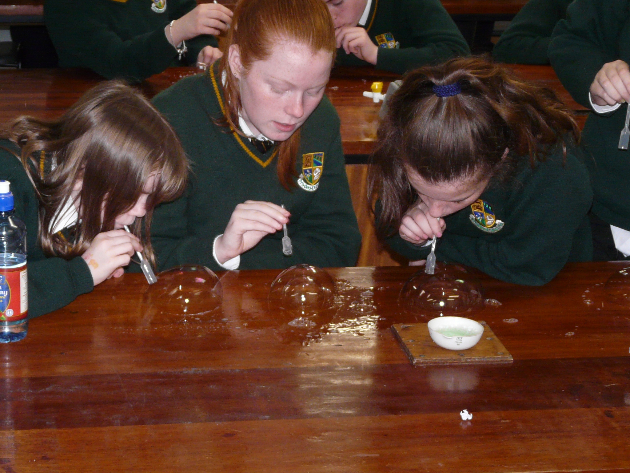 Science – St Clare's Comprehensive School