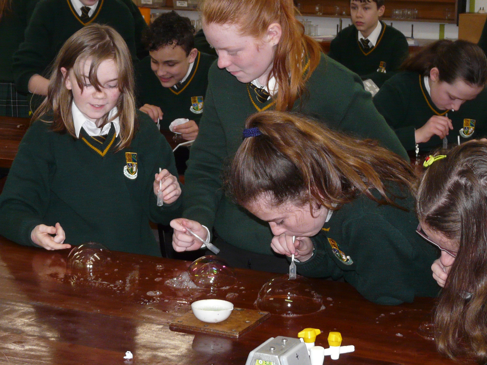 Science – St Clare's Comprehensive School